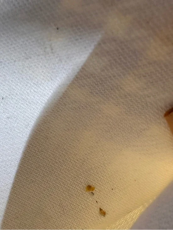 Dooney & Bourke Yellow Plaid Crossbody with Black Trim - Picture 4 of 6